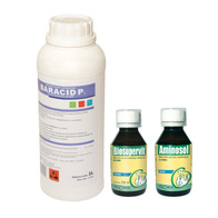 Zestaw dla drobiu witaminy + zakwaszacz + poprawa odporności