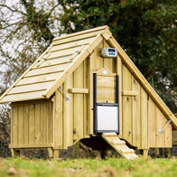 ChickenGuard Extreme z czujnikiem zmierzchu automatyczne otwieranie drzwi do kurnika