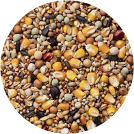 Karma pierzeniowa dla gołębi PIE AGRO KING 25 kg