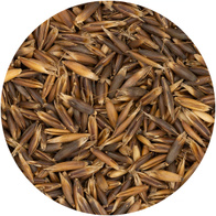 Czarny Owies paszowy dla kur gołębi koni królików 20 kg