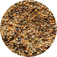 Karma dla gołębi MOREL-TEAM Rozpłodowo-Pierzeniowa MR RP 20 kg