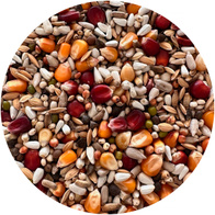 Karma lotowa dla gołębi czwartek / piątek Paweł Mędrysa PARTNER PREMIUM 20 kg