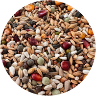 Karma lotowa dla gołębi wtorek / środa Paweł Mędrysa PARTNER PREMIUM 20 kg