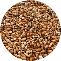 Karma lotowa dla gołębi niedziela / poniedziałek Paweł Mędrysa PARTNER PREMIUM 20 kg