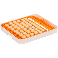 Inkubator do jaj automatyczny OVOstart 56 z pompą wilgotności, regulowaną tacą