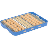 Automatyczny inkubator do jaj z pompą wilgotności, regulowaną tacą OVOstart 70