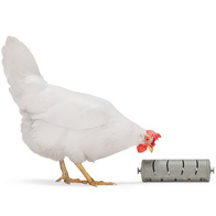 Zabawka dla kur wałek na przysmaki dla kur