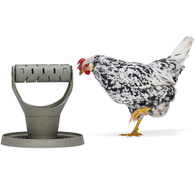 Karmnik dla kur z zabawką na paszę 2w1