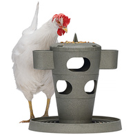 Zabawka dla kur Chicken Tower karmnik dla kur na paszę i przysmaki