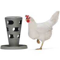 Zabawka dla kur Chicken Tower karmnik na paszę