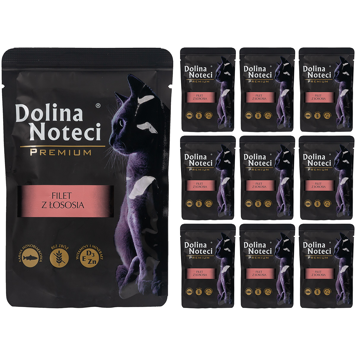 Karma dla kota mokra Dolina Noteci Premium filet z łososia 10 x 85 g