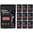 Karma dla kota mokra Dolina Noteci Premium filet z łososia 10 x 85 g
