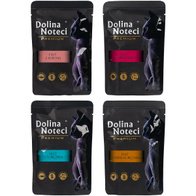 Karma dla kota mokra Dolina Noteci Premium Filet mix smaków 20 x 85 g