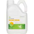 Kokcidin