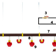 System pojenia kubeczkowy FORTIS-1 kompletna linia
