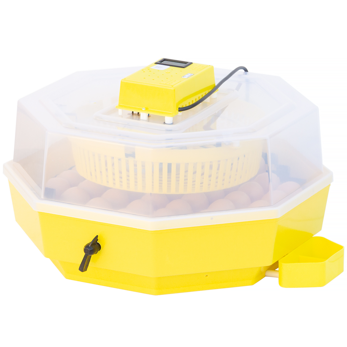 Inkubator iBator HOME 60 z wyświetlaczem temp. i wilgotności + zbiornik na wodę + taca