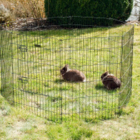 Kojec klatka zewnętrzna wybieg dla królików - 8 elementów