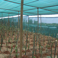 Siatka ocieniująca dzianina 42% 4x66m