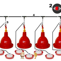 System pojenia drobiu dzwonowy - kompletny