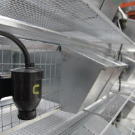 Klatka dla kuropatw - segment do pozyskiwania jaj - 8 par