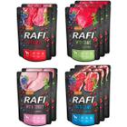 Mokra karma dla psa RAFI MIX różne smaki w saszetkach zestaw 10 x 300 g