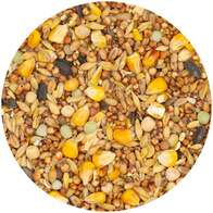 Karma dla gołębi pełne ziarno Paszarnia Tradycyjna 18 kg całoroczna