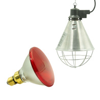 Lampa grzewcza promiennik sztuczna kwoka komplet