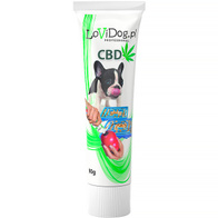Pasta smakowa antystresowa dla psa CBD do smarowania w tubce 90 g LoviDog