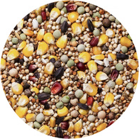 Karma dla gołębi BP bez pszenicy AGRO KING 25 kg