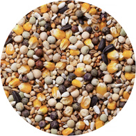 Karma dla gołębi młodych MŁ-S młode standard AGRO KING 25 kg