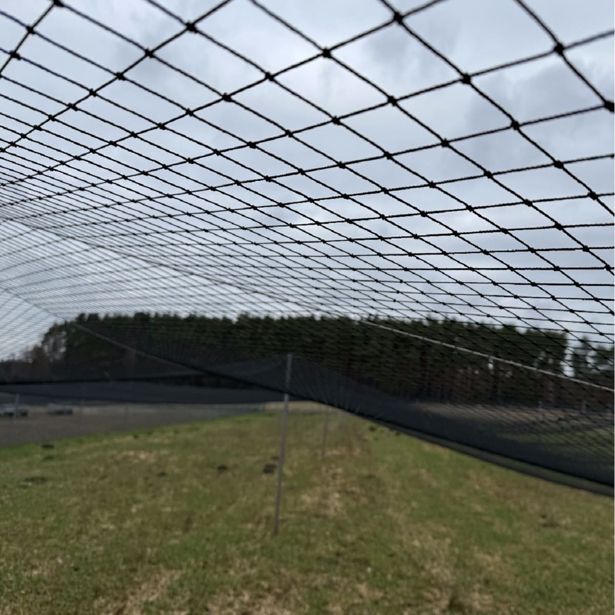 Siatka polietylenowa  na woliery oczko 6 x 6 cm czarna na wymiar