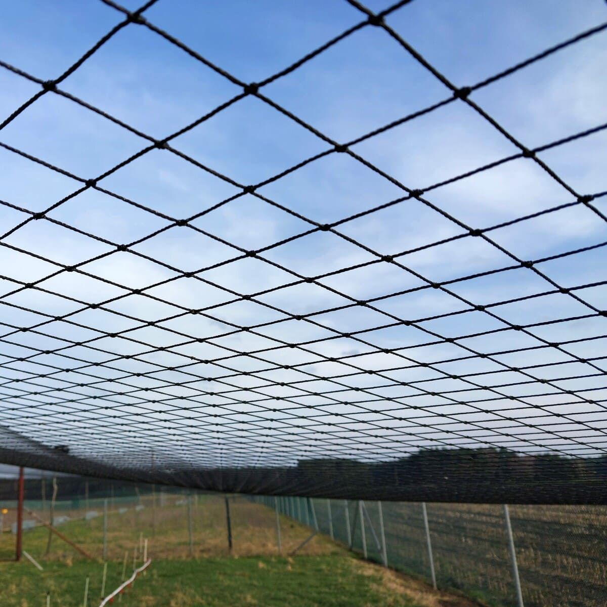 Siatka polietylenowa na pokrycie wybiegów dla ptaków 4 x 4 cm czarna na wymiar