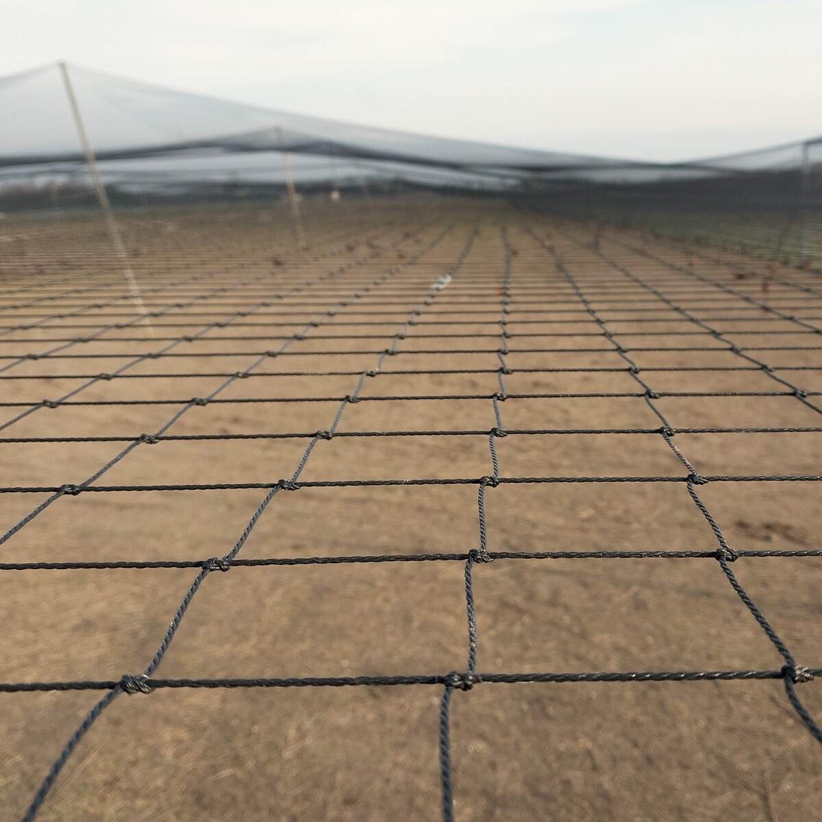 Siatka polietylenowa na wymiar oczko 10 x 10 cm woliery