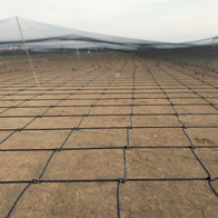 Siatka polietylenowa na wymiar oczko 10 x 10 cm woliery