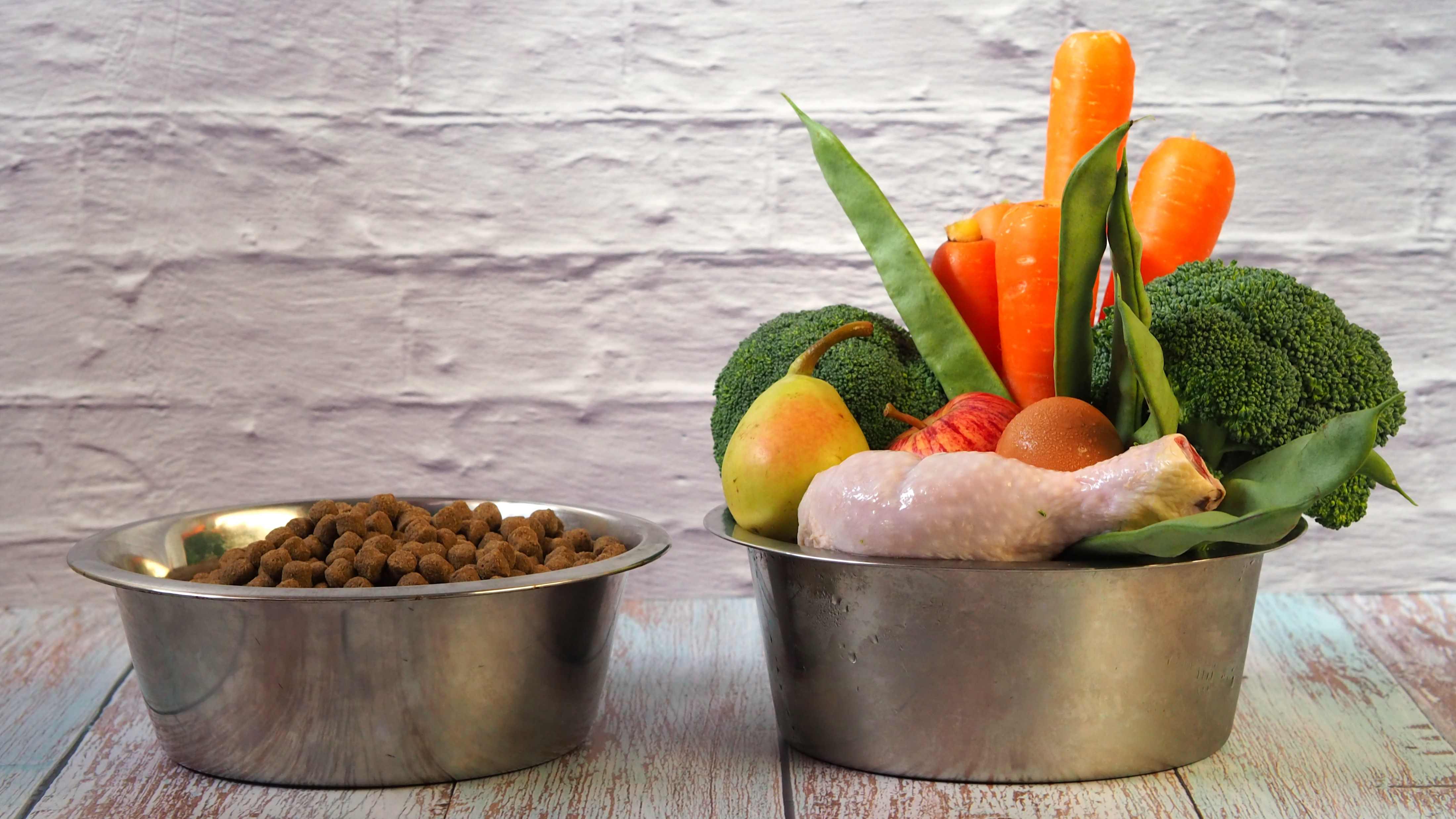 Karmy bezzbożowe dla psów i kotów – nowy trend czy zdrowa dieta?