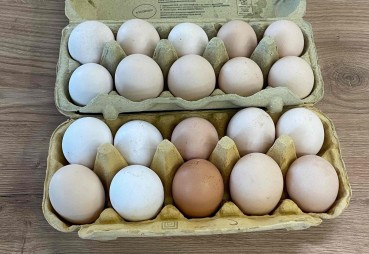 Cena jajka wiejskiego: co wpływa na koszt produkcji?