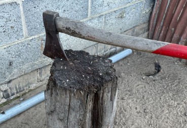 Ubój drobiu w gospodarstwie - jak przeprowadzić go humanitarnie i zgodnie z przepisami?