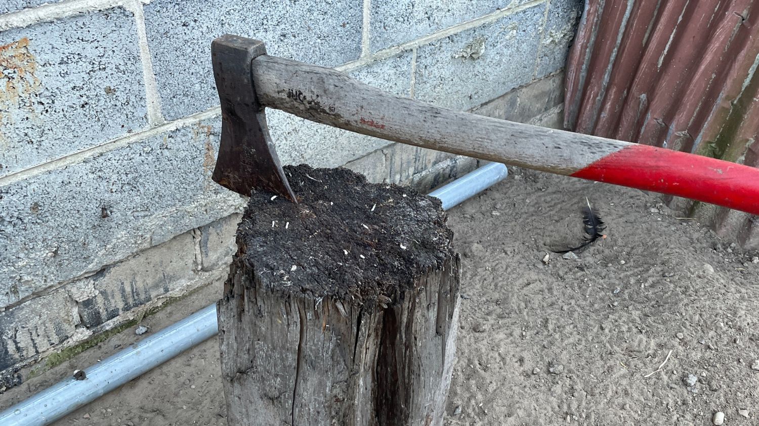 Ubój drobiu w gospodarstwie - jak przeprowadzić go humanitarnie i zgodnie z przepisami?