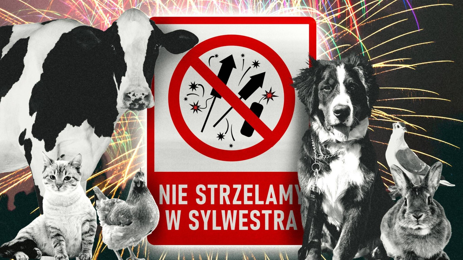 Banner Nie strzelamy w sylwestra