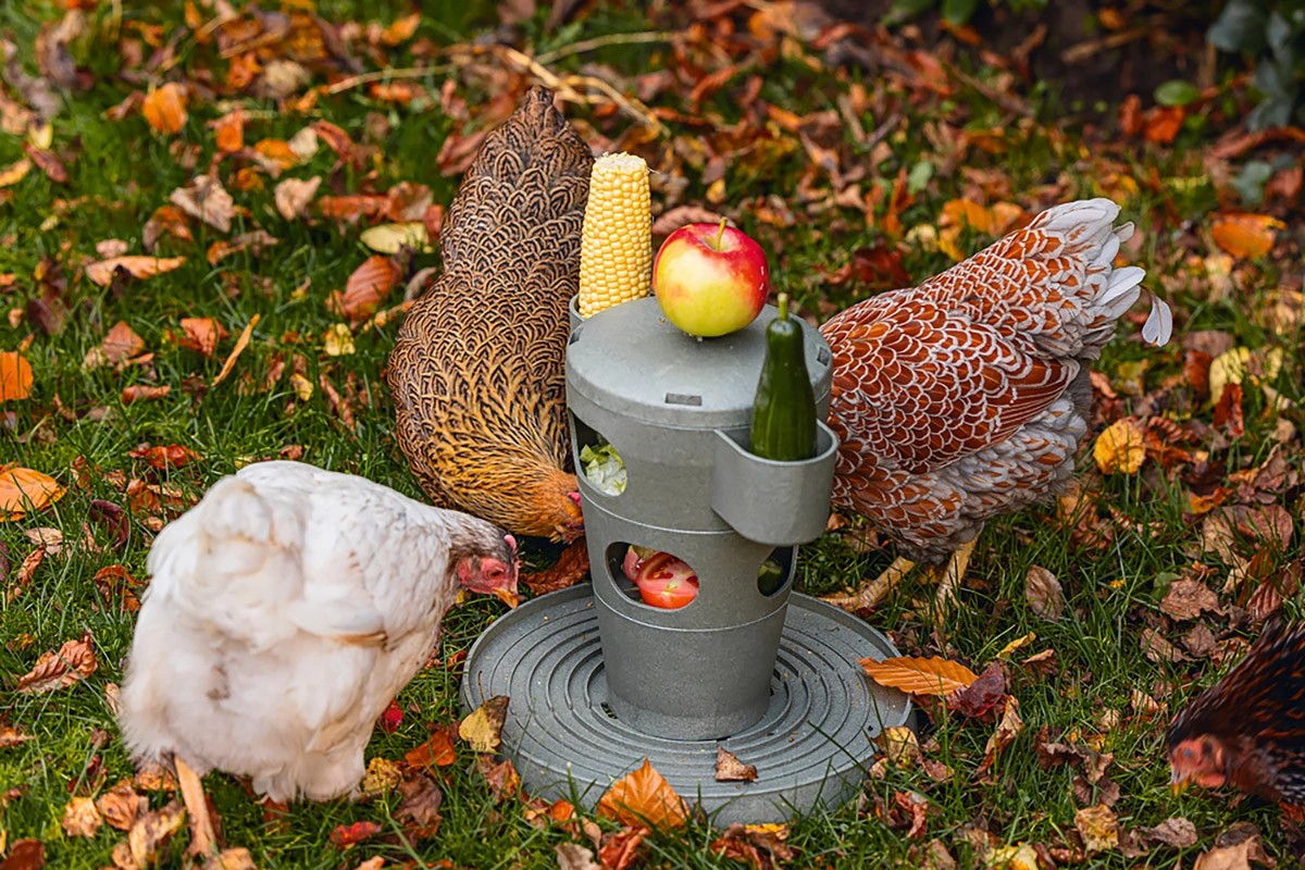 karmnik dla kur Chicken Tower na przysmaki i paszę
