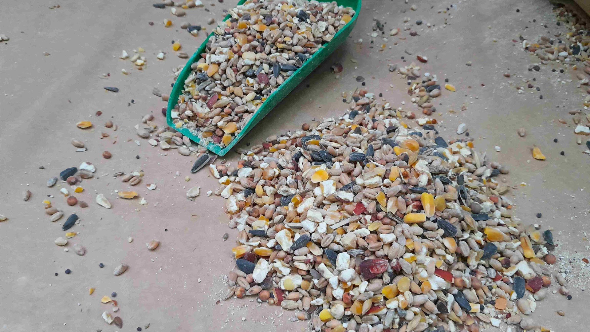 karma dla niosek