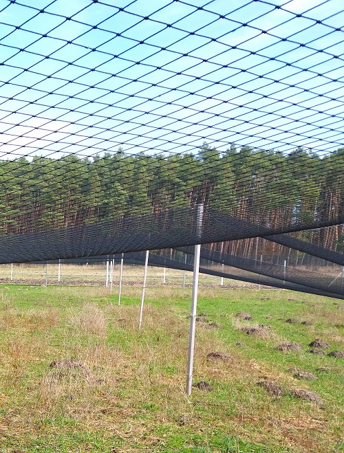 siatka na wolierę 4x4