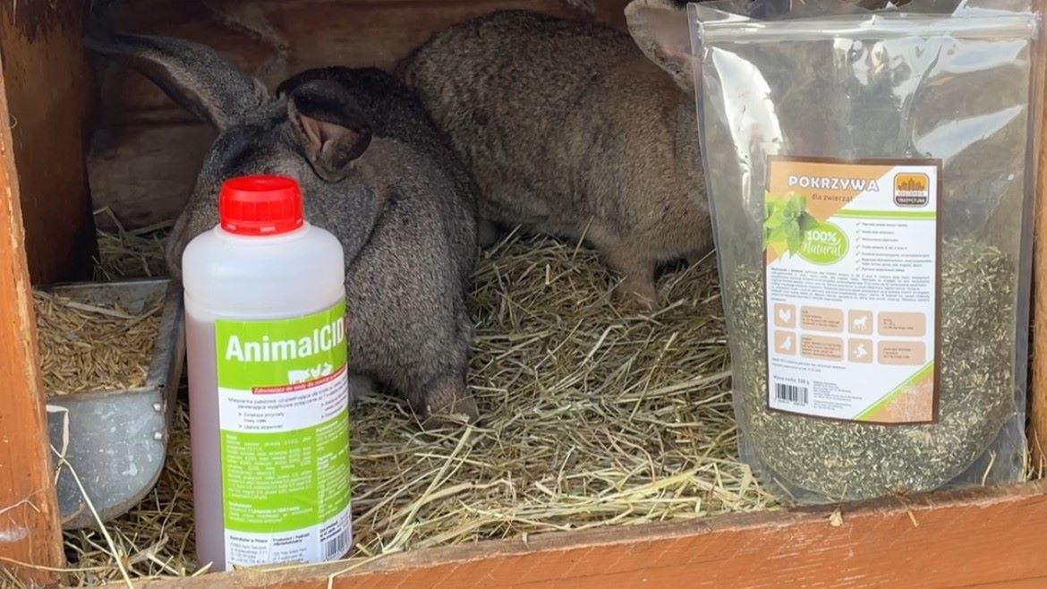 witaminy dla kr&oacute;lik&oacute;w w klatce